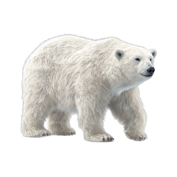 Realistic Polar Bear Icon - Arctic Wildlife Illustration