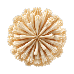 Radiant Coral Sphere 3D Render Icon | Nature Design