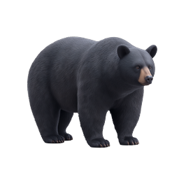 Realistic Black Bear 3D Icon - Wildlife Animal Illustration