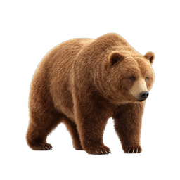 Realistic Brown Grizzly Bear Icon - Wildlife 3D Render