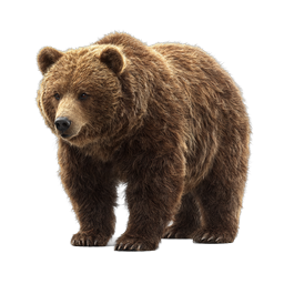 Realistic Brown Bear Wildlife Icon - Nature Design