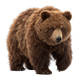 Realistic Brown Bear Icon - Wild Grizzly Wildlife
