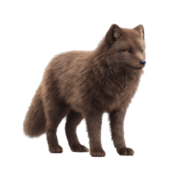Realistic Brown Fox Icon - Detailed Wildlife Animal Illustration