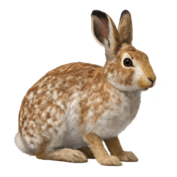 Realistic Brown Rabbit Wildlife Icon | Nature Animal