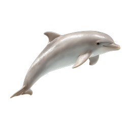 Realistic Dolphin Leap Ocean Marine Life Icon
