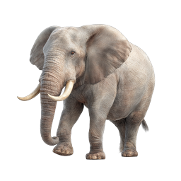 Realistic African Elephant Icon - Wildlife 3D Render
