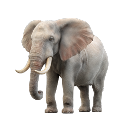 Icona elefante realistica - Grafica dettagliata della fauna africana