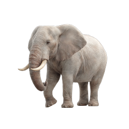 リアルなアフリカゾウの 3D アイコン | 野生動物