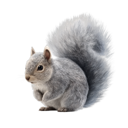 Realistic Gray Squirrel Icon - Detailed Wildlife Design