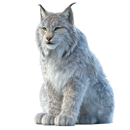 Realistic Lynx Cat Icon - Detailed Wild Feline Illustration