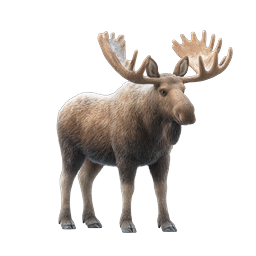 Realistic Moose Icon - Detailed 3D Wildlife Rendering
