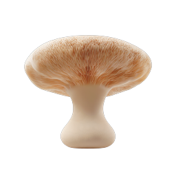 Realistic Mushroom Icon | Nature & Fungi Design