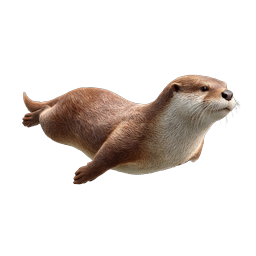Realistic Swimming Otter Icon - Wildlife Nature Graphic