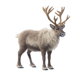 Realistic Reindeer Icon - Majestic Caribou Illustration