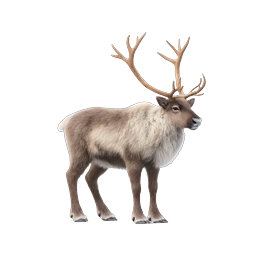 Realistic Reindeer Icon with Majestic Antlers