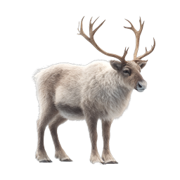 Realistic 3D Reindeer Icon - Arctic Wildlife