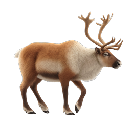 Realistic Reindeer Wildlife Icon with Antlers