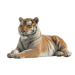 Realistic Tiger Icon - Majestic Wild Big Cat Illustration