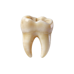 Realistic Tooth Icon - 3D Dental Healthcare Symbol