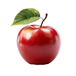 Fresh Red Apple Icon - Realistic Fruit Illustration