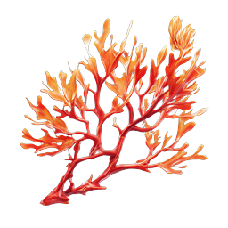 Red Coral Branch Icon - Realistic Marine Nature Design