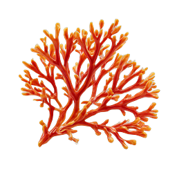 Red Coral 3D Icon - Vibrant Ocean Marine Life