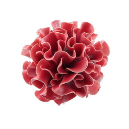 Realistic Red 3D Flower Icon with Ruffled Petals