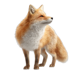 Realistic Red Fox Wildlife Icon - Nature Animal