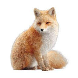 Red Fox Wildlife Icon - Realistic Animal Illustration
