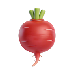 Red Radish Icon for Fresh Produce Designs