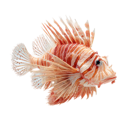 Stunning Lionfish Icon for Marine Life Themes