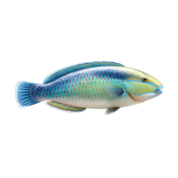 Colorful Parrotfish Icon for Marine Themes