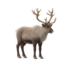 Realistic Reindeer Wildlife Icon with Large Antlers