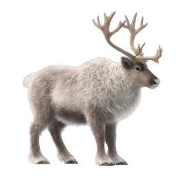 Realistic Reindeer Wildlife Icon with Majestic Antlers