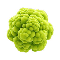 Romanesco Broccoli Realistic 3D Food Icon
