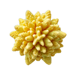 Realistisches Romanesco-Brokkoli-Fraktal-Icon