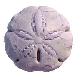 Realistic Sand Dollar Icon - Ocean Beach Shell