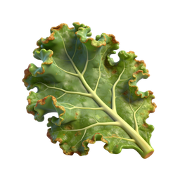 Vibrant Kale Leaf Icon for Healthy Eating