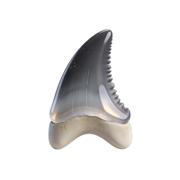 Shark Tooth Icon - Realistic 3D Marine Life Symbol