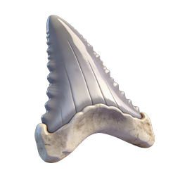 Realistic 3D Shark Tooth Icon | Megalodon Fossil