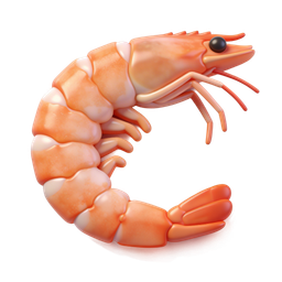 Realistic Shrimp Icon for Culinary Designs
