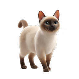 Siamese Cat Icon - Realistic 3D Feline Illustration