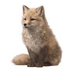 Realistic Sitting Red Fox Wildlife Icon