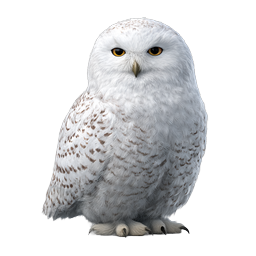 Snowy Owl Realistic Bird Icon | Arctic Wildlife