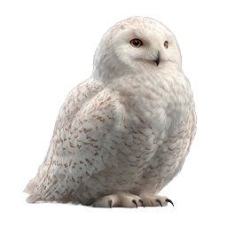 Schnee-Eule-Icon