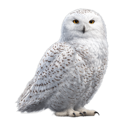 Snowy Owl Realistic Wildlife Icon - Detailed Bird Illustration
