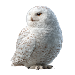 Realistic Snowy Owl Illustration - Majestic Arctic Bird
