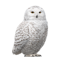 Realistic Snowy Owl Bird Icon | Arctic Wildlife Illustration