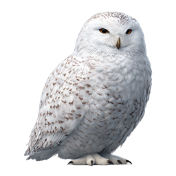 Realistic Snowy Owl Wildlife Illustration Icon