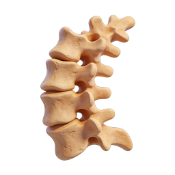 Icona 3D dell'anatomia della colonna vertebrale umana | Illustrazione della colonna vertebrale